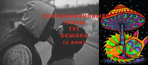 герыч Арсеньев