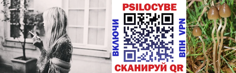 Псилоцибиновые грибы мицелий  Новый Оскол 